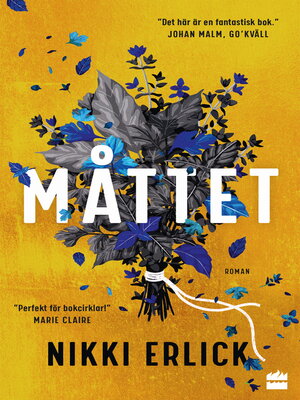 cover image of Måttet